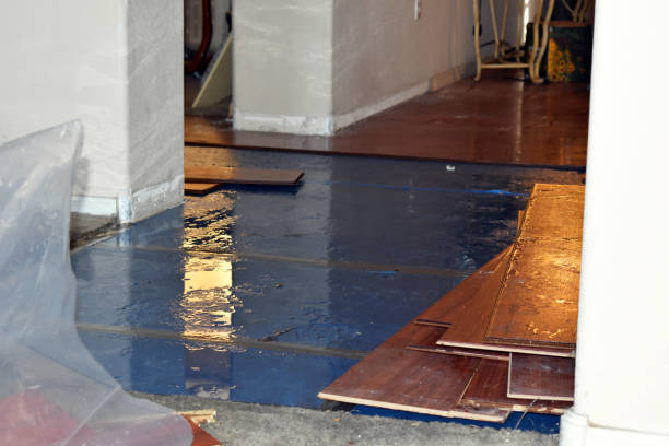 Professional Flood Cleanup technician working in Oakley, MI